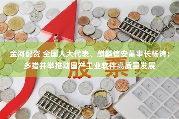 金河配资 全国人大代表、麒麟信安董事长杨涛：多措并举推动国产工业软件高质量发展