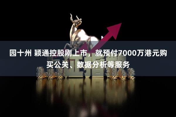 园十州 颖通控股刚上市，就预付7000万港元购买公关、数据分析等服务